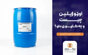 اورتو زایلین چیست